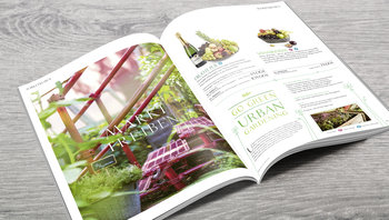 Aufgeschlagener Käfer-Präsentkatalog