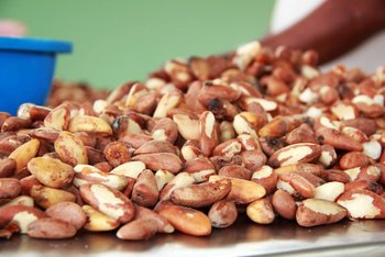 Paranüsse aus dem Tambopata Regenwald