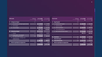 Digitaler STWN Geschäftsbericht 2020 - Aktiv/Passiv-Tabelle - Darkmode