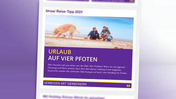 Trojaner-Kachel mit Urlaub auf vier Pfoten