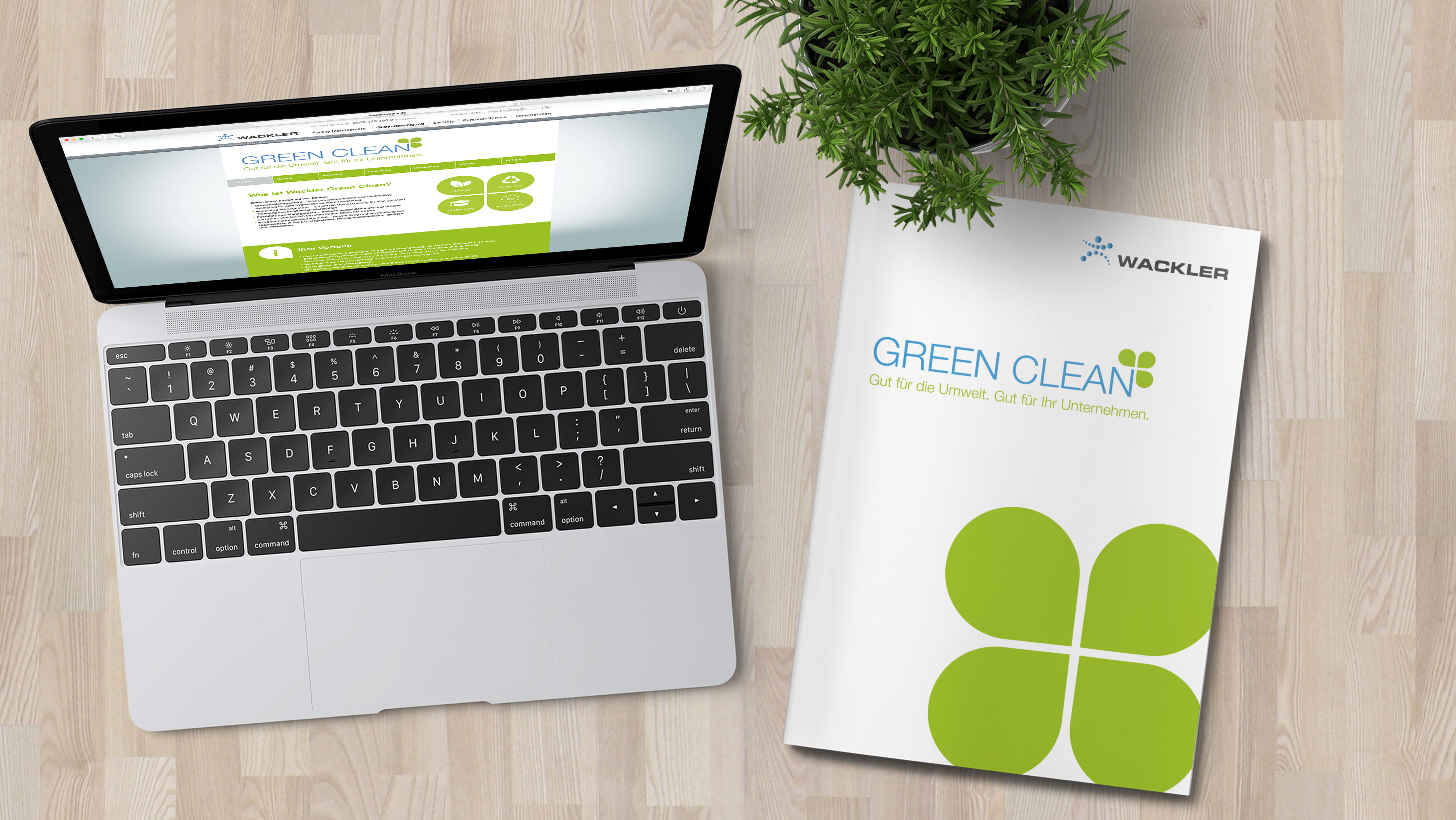 Online-Auftritt (Laptop-Ansicht) und Broschüre Green Clean